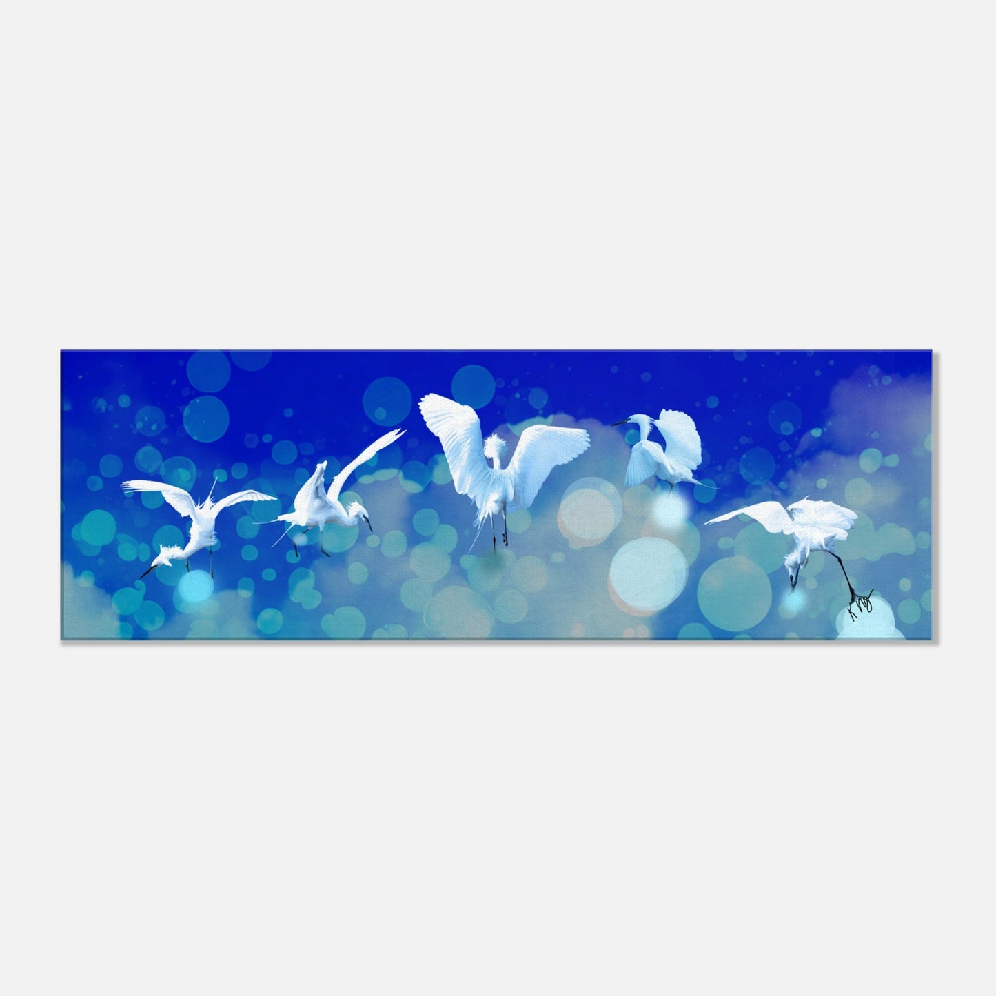 2a5a9714-6d8c-4972-a0da-bab4578c7c01