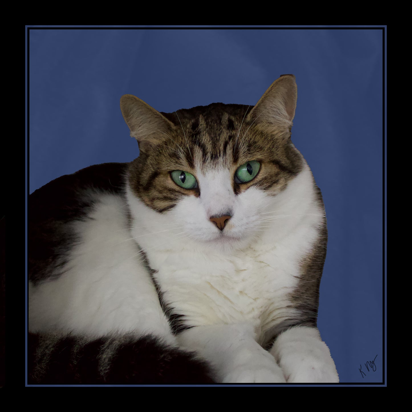 Pet Portraits-Fun or Classic