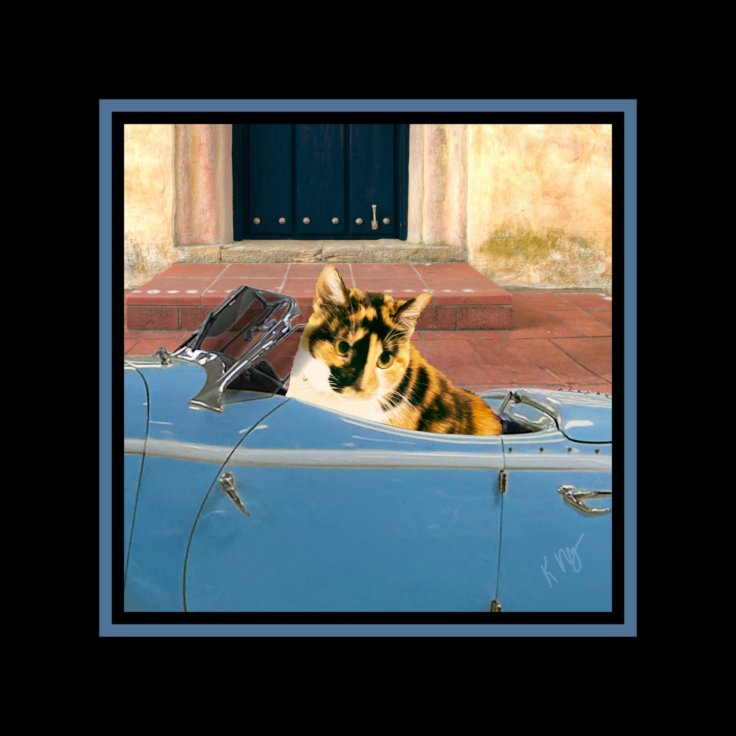 Pet Portraits-Fun or Classic
