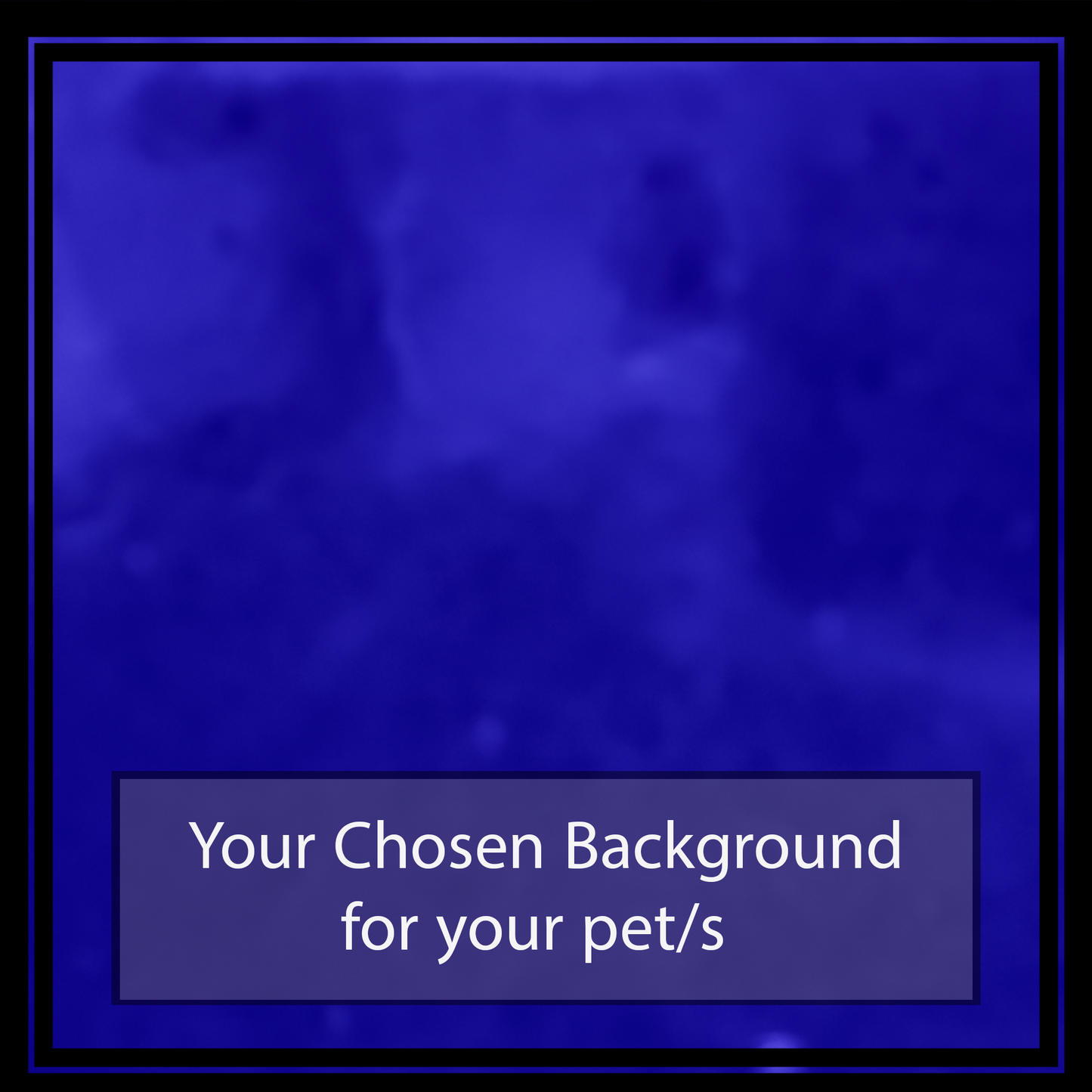 Pets on Blue Minimalist Background (1–3 Pets)
