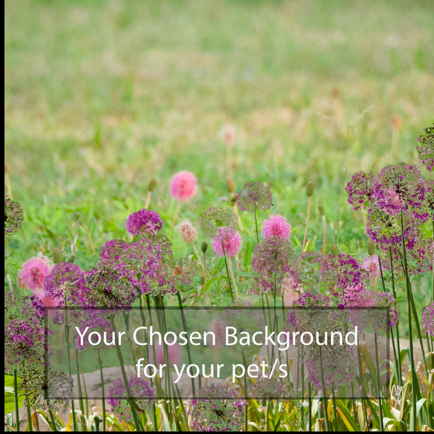 Scenic Purple Flower Field Background (1–3 Pets)