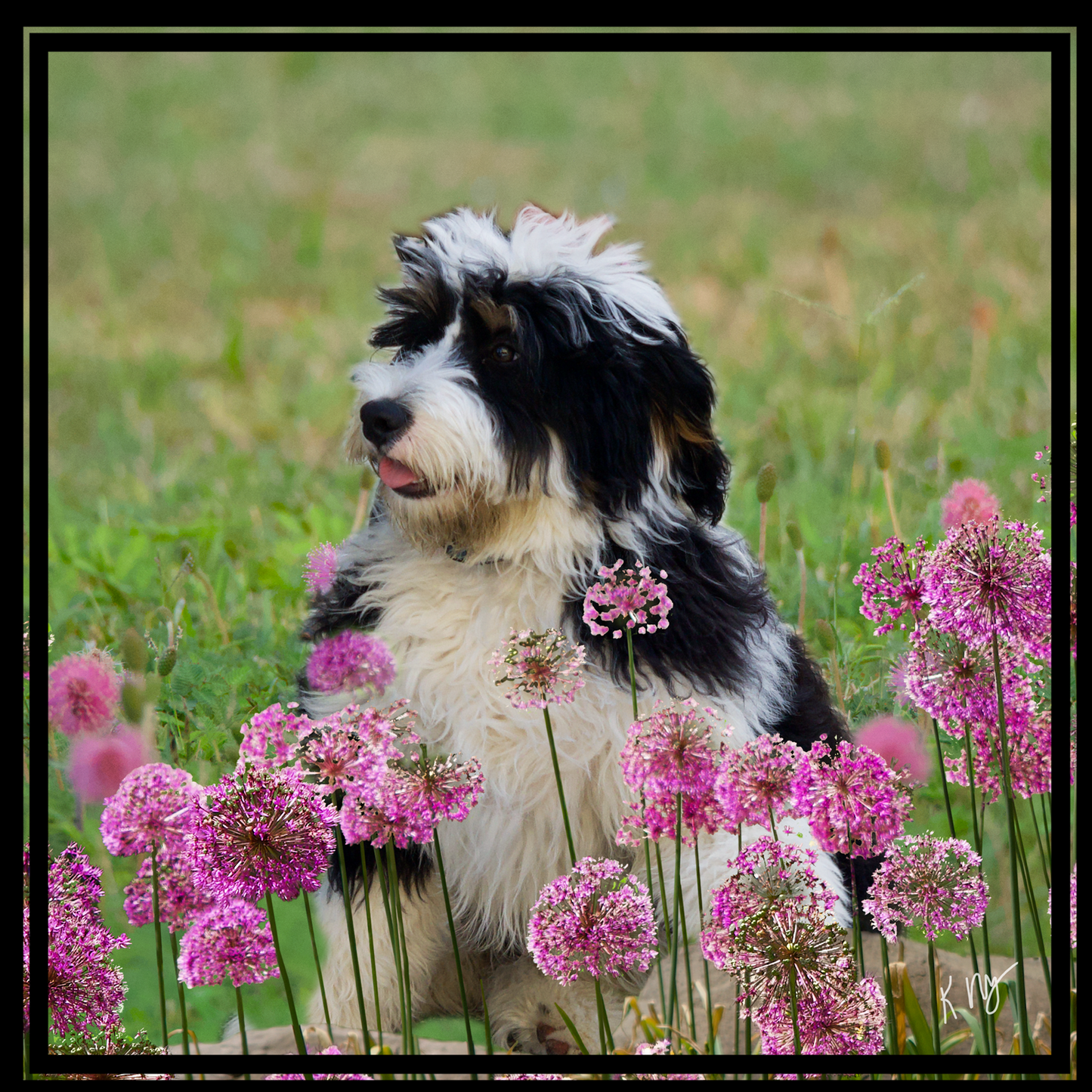 Custom Pet Portrait featuring pets among blooming flowers in a scenic landscape.