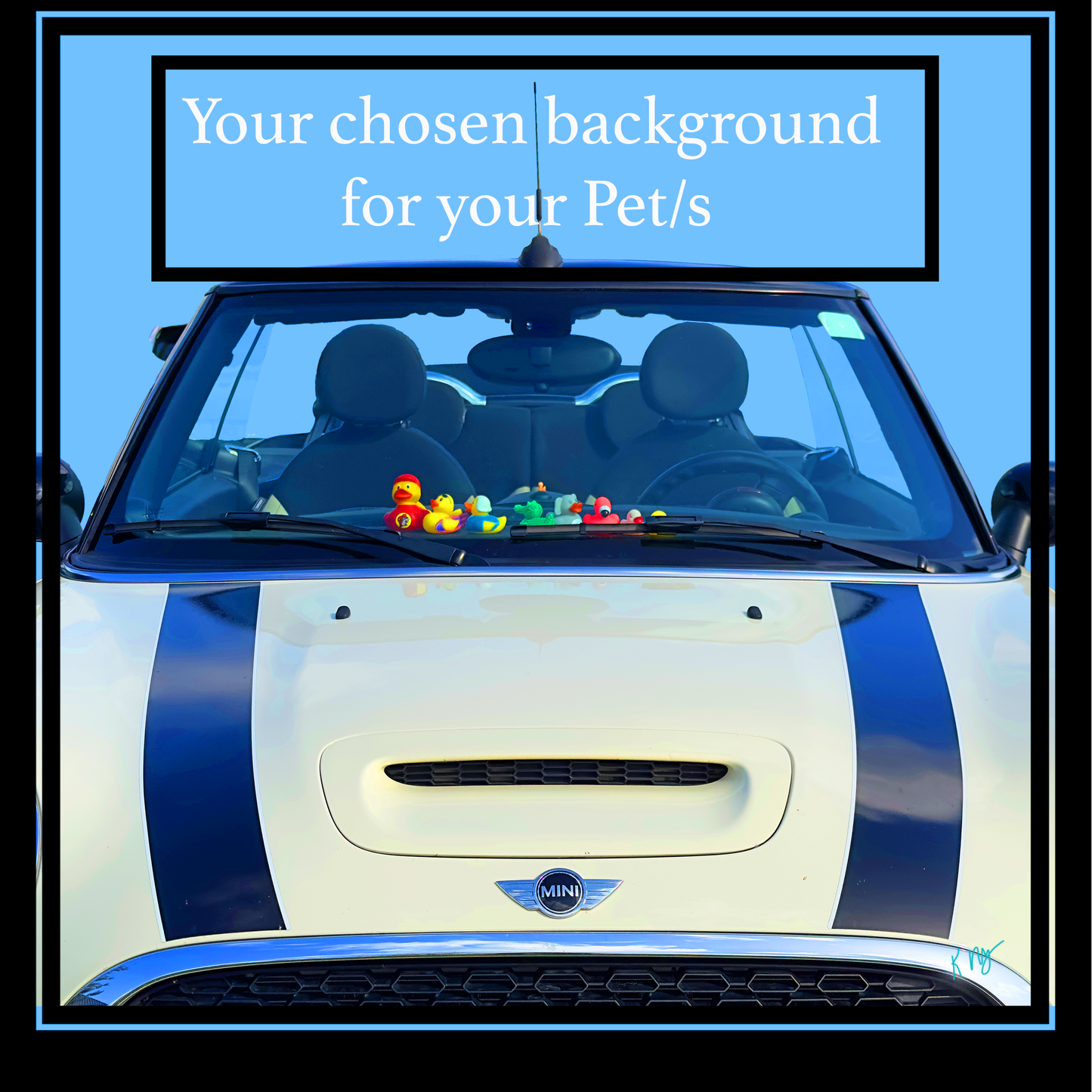 Car with colorful rubber ducks on the windshield against a blue background with text indicating "Your chosen background".