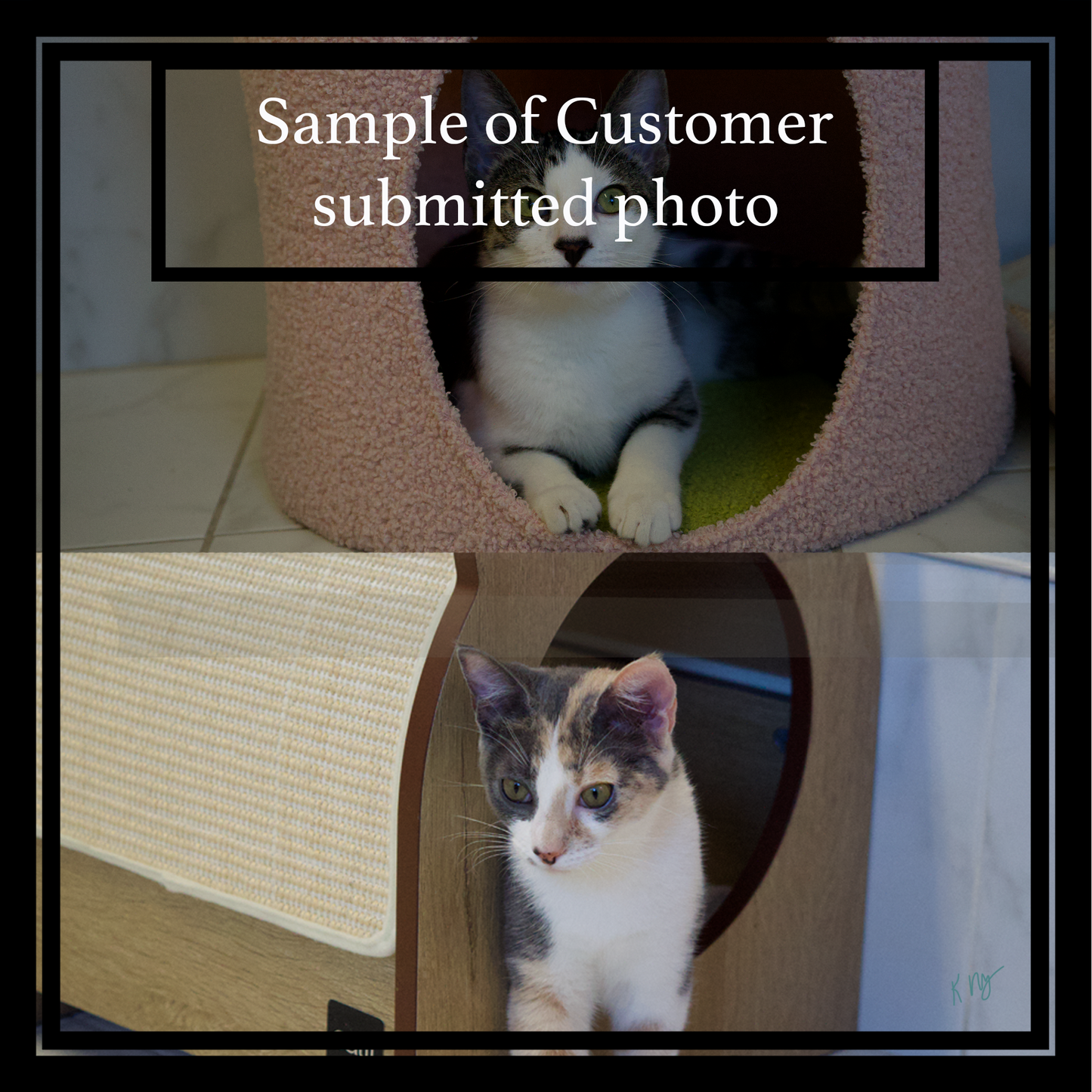 Two cats inside pet furniture, with text indicating it's a customer-submitted photo.