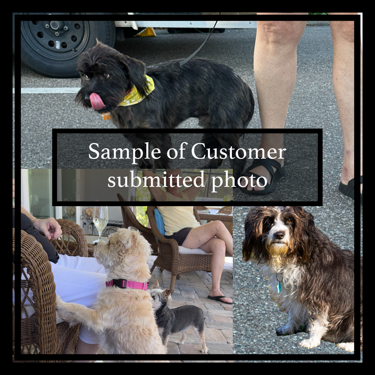 Collage of dogs with text overlay 'Sample of Customer submitted photo'
