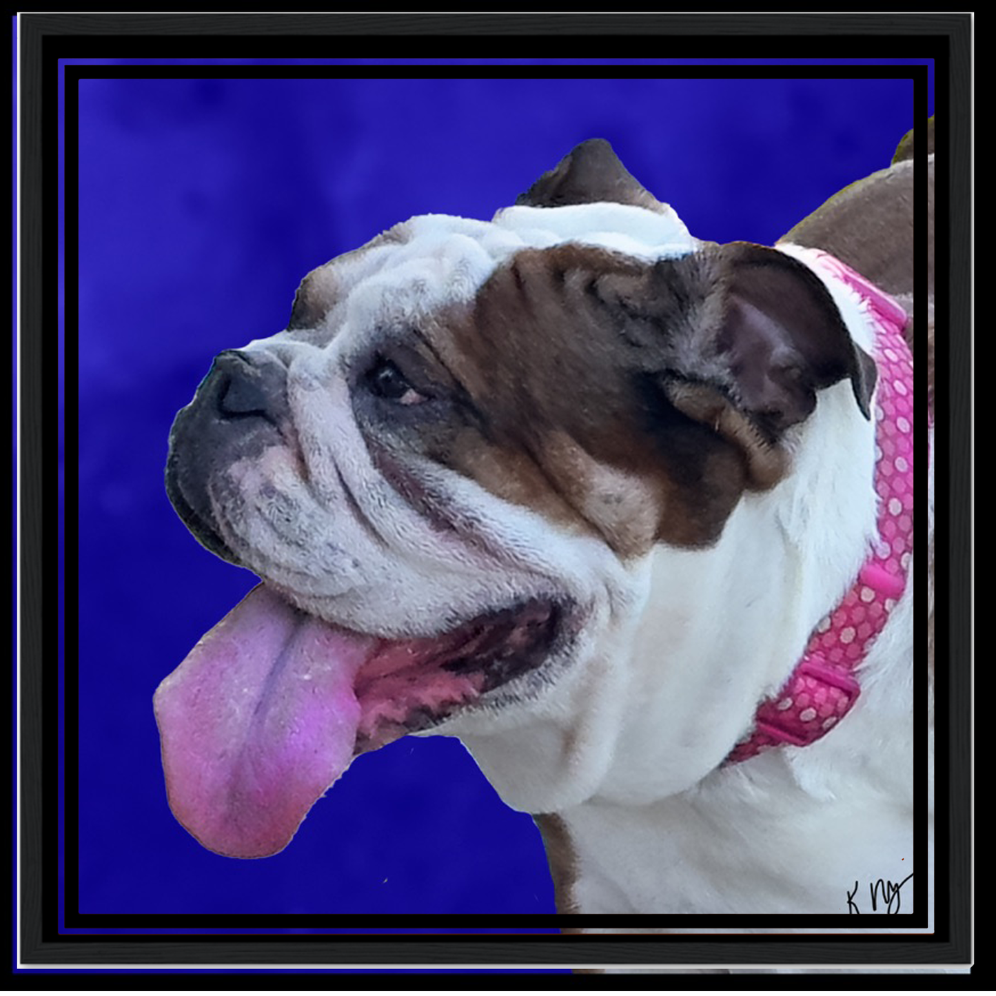 Pet/s on a blue background in a black frame