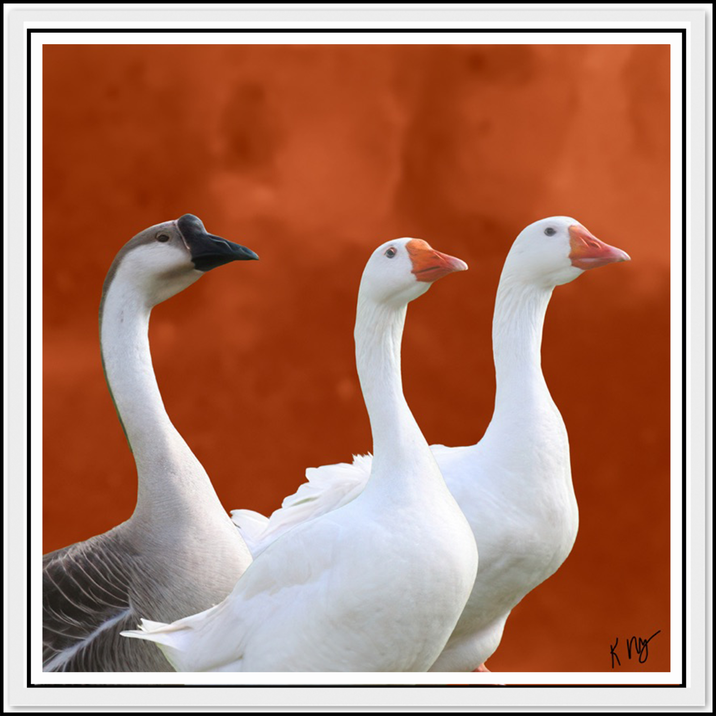 Pets on an Orange Sky Background (1–3 Pets)