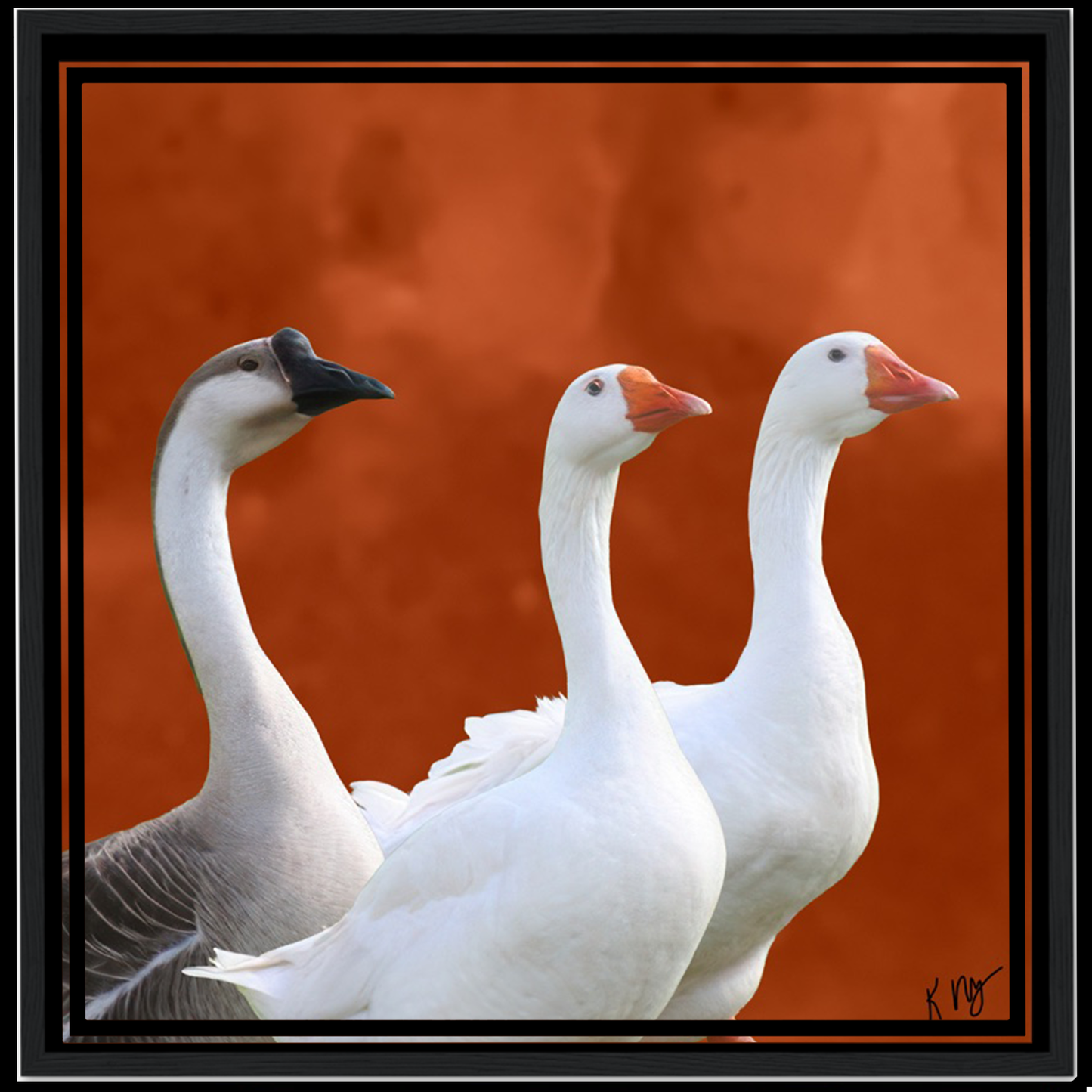 Pets on an Orange Sky Background (1–3 Pets)