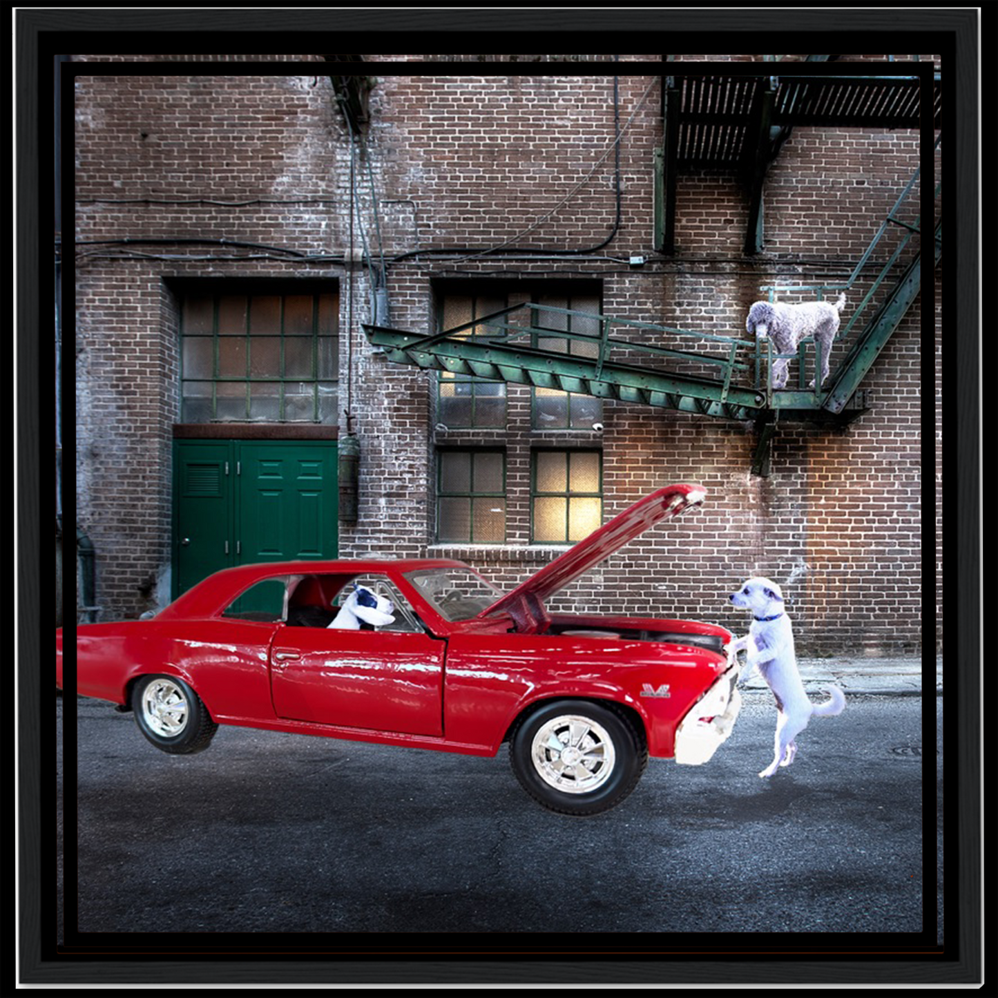 Classic Car Alley Background (1–3 Pets)
