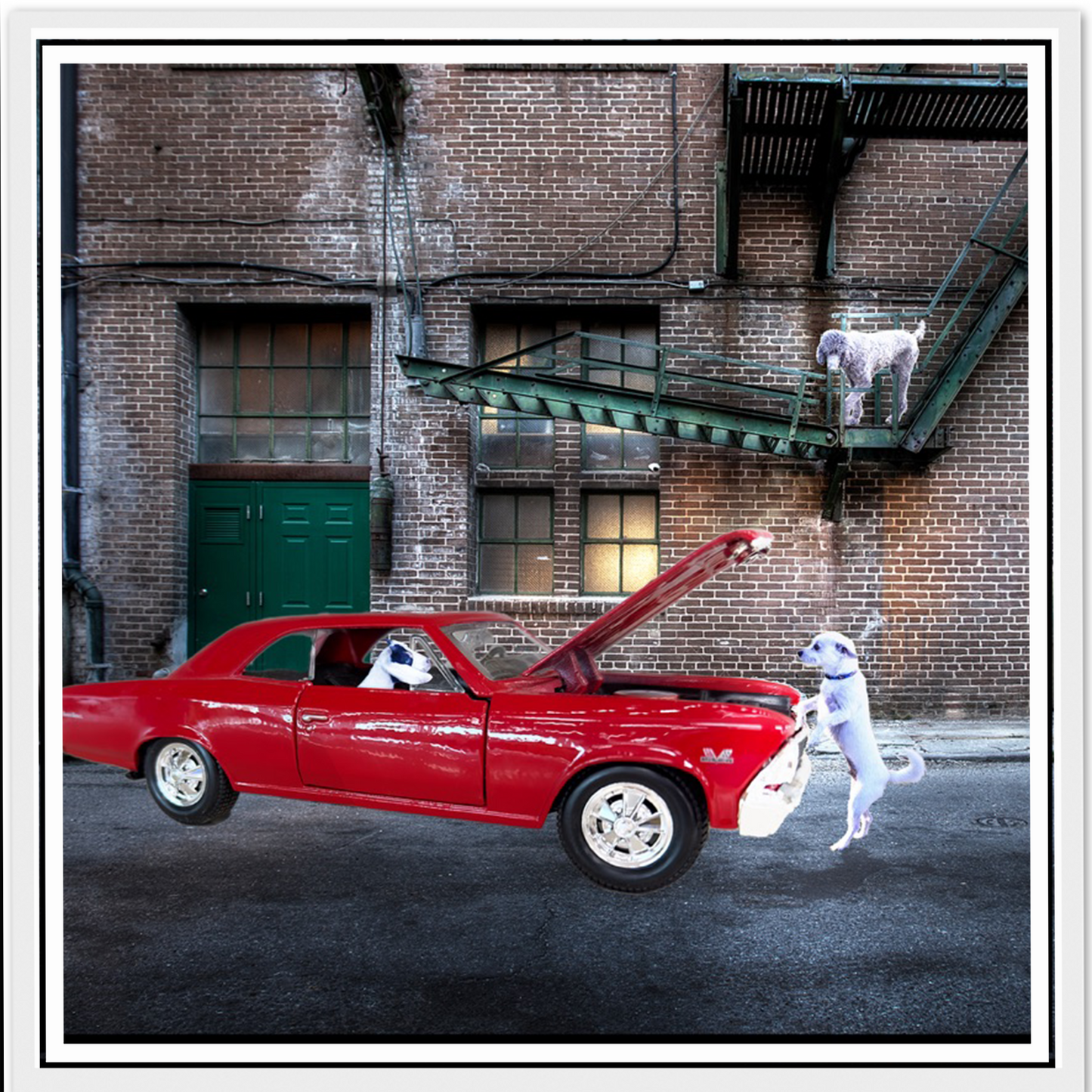 Classic Car Alley Background (1–3 Pets)