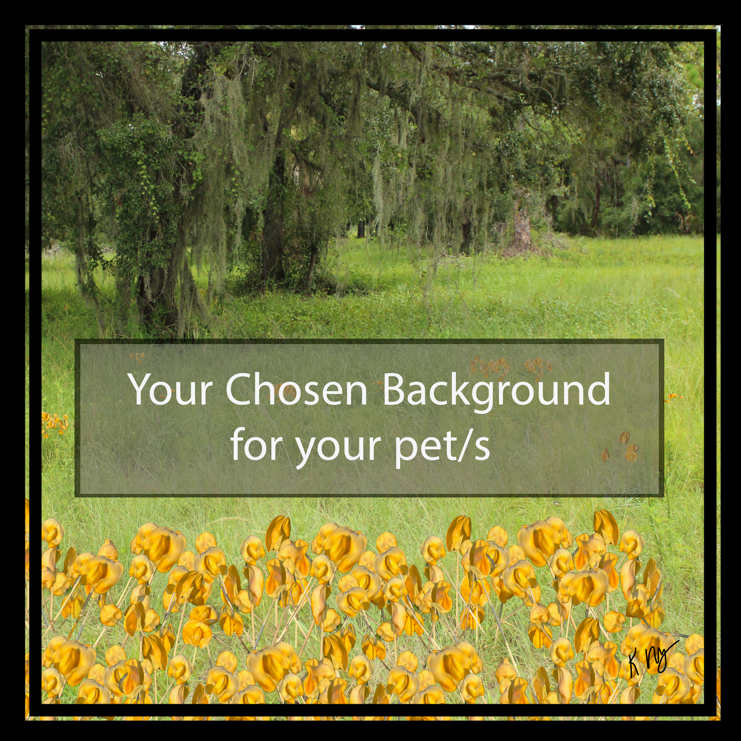 Golden Meadow Background (1–3 Pets)