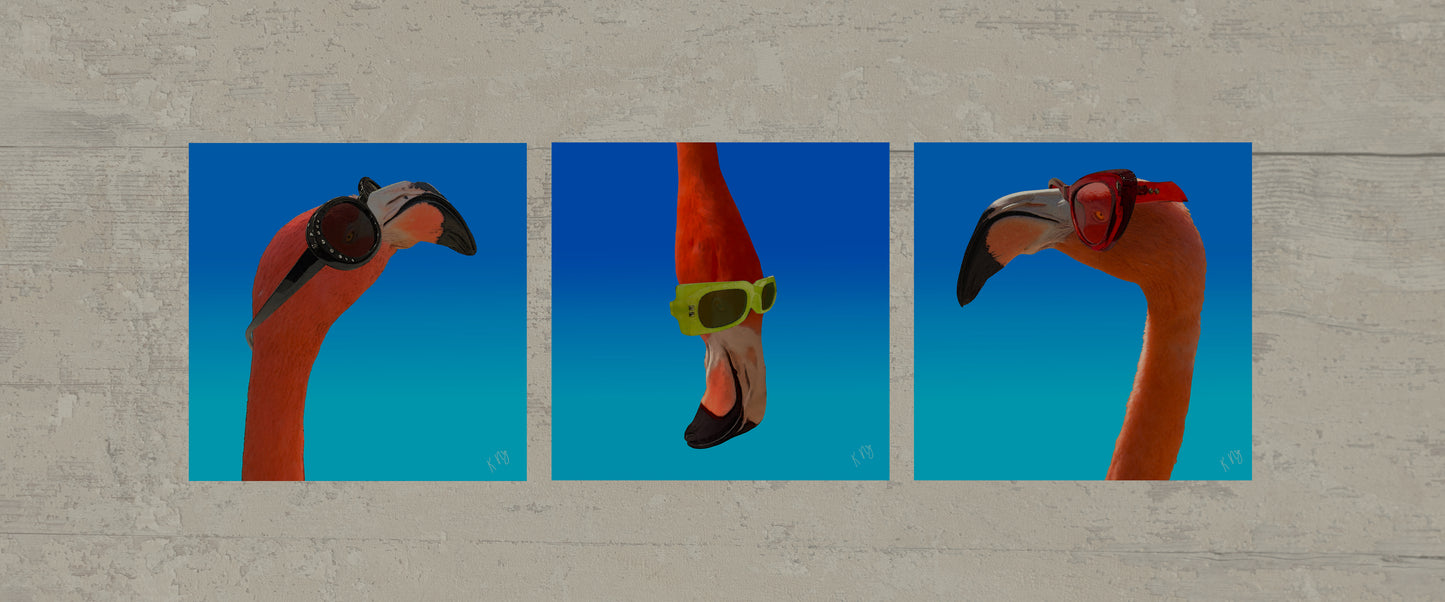 Flamingo Fun Triptych