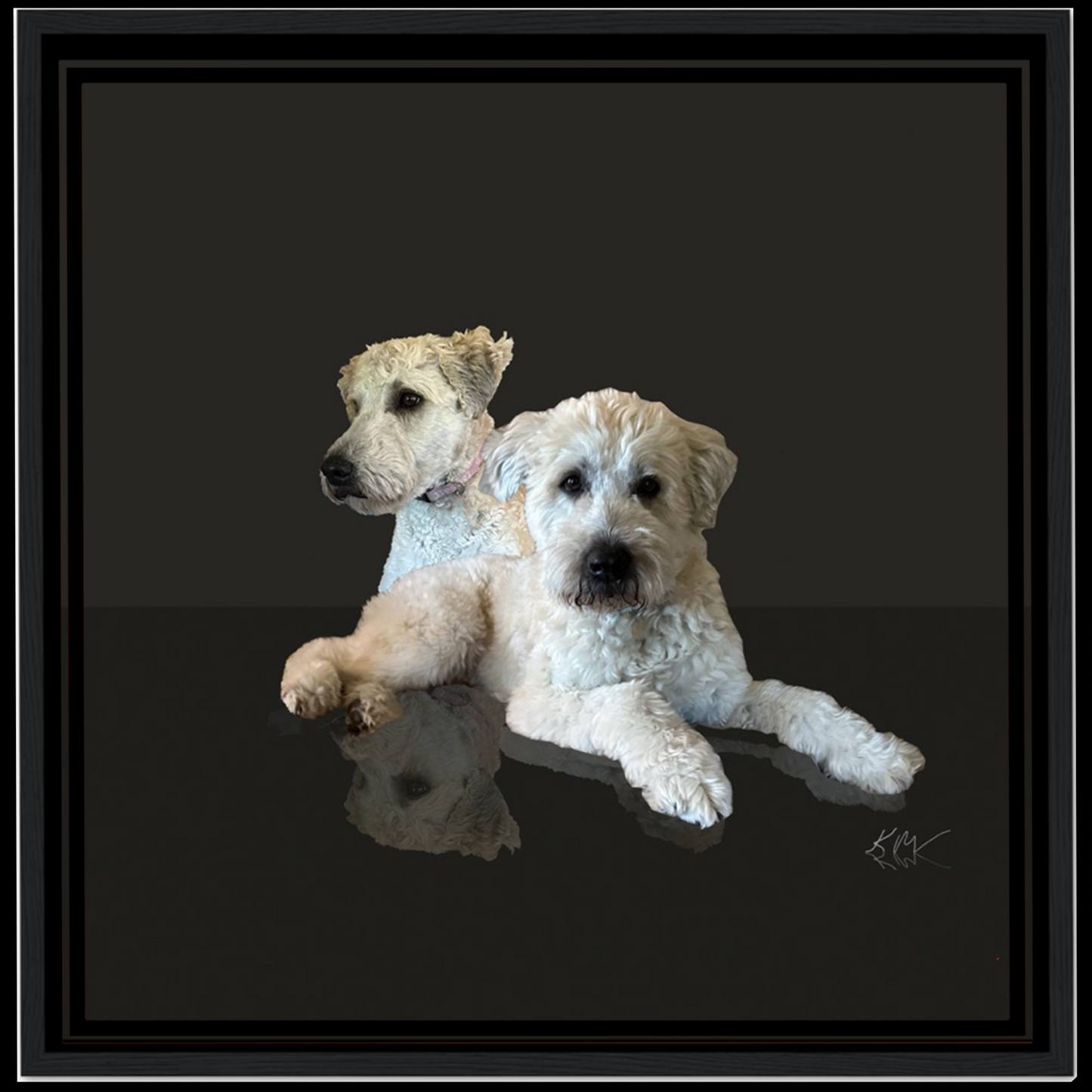 Glossy Black Reflection Background (1–3 Pets)