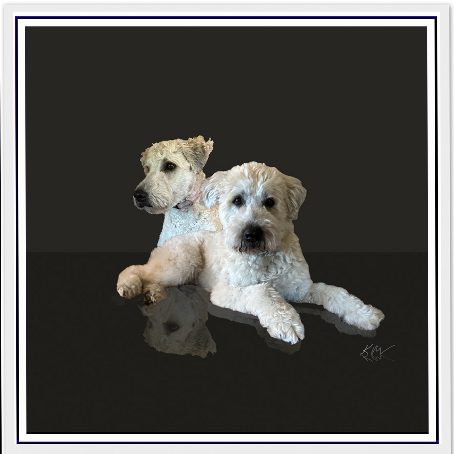 Glossy Black Reflection Background (1–3 Pets)