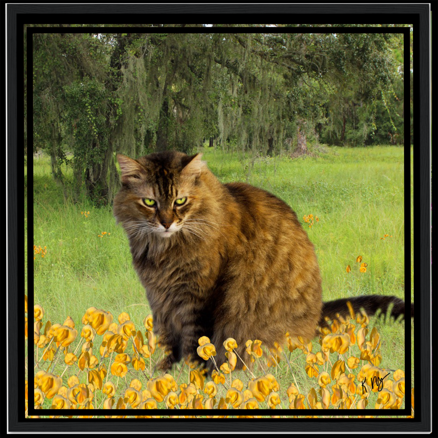 Golden Meadow Background (1–3 Pets)