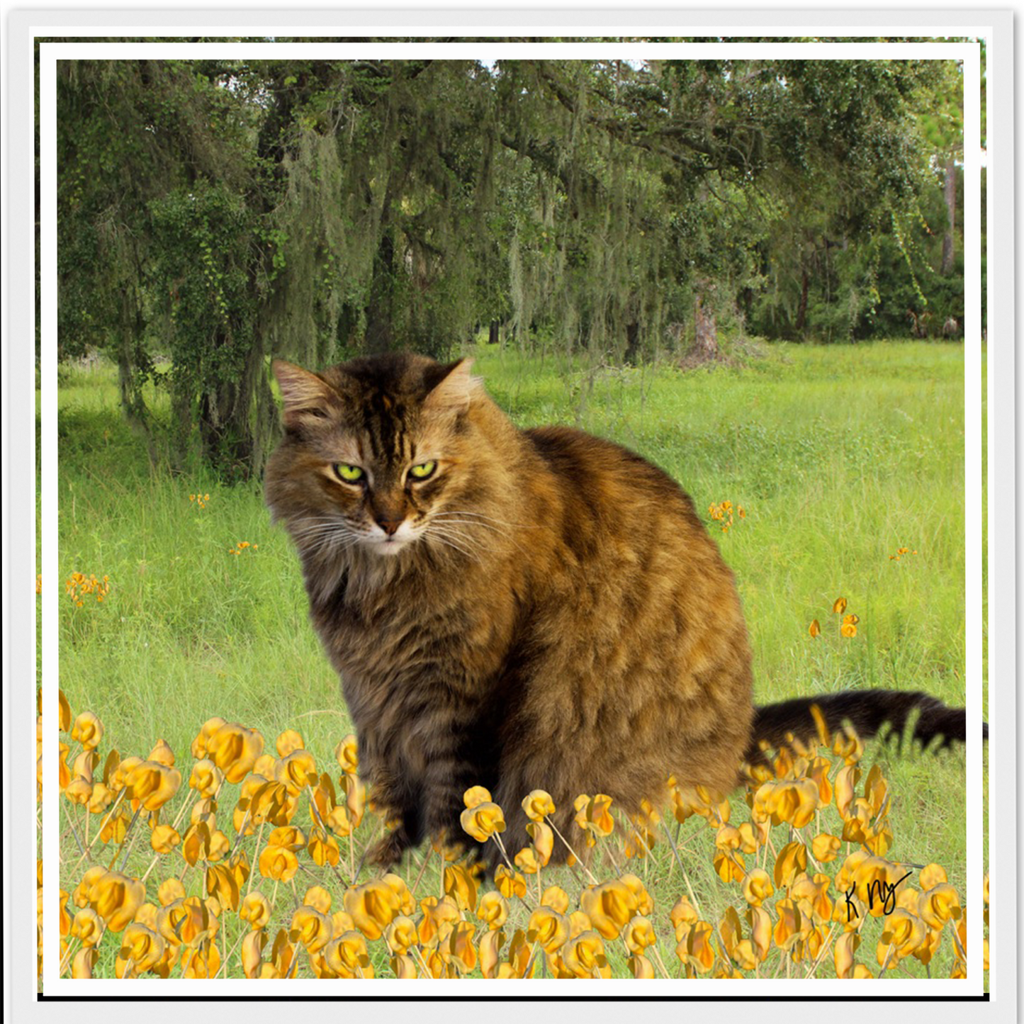 Golden Meadow Background (1–3 Pets)