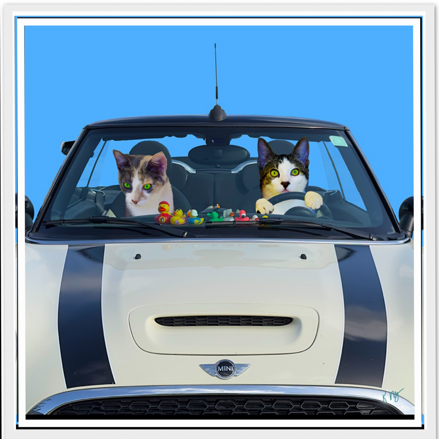 Playful Mini Cooper Car Background (1–3 Pets)