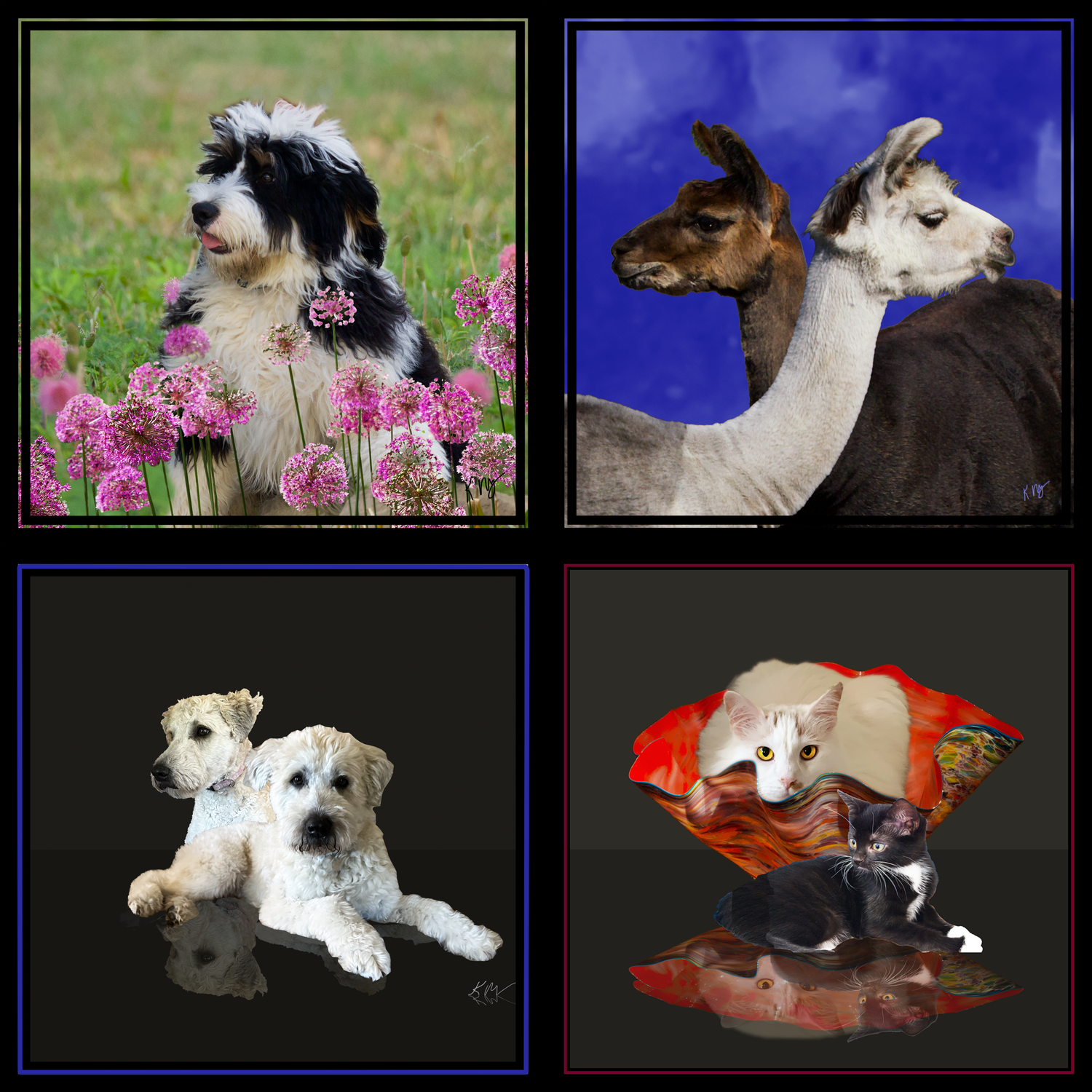 Classic, Minimalist & Scenic Custom Pet Portraits