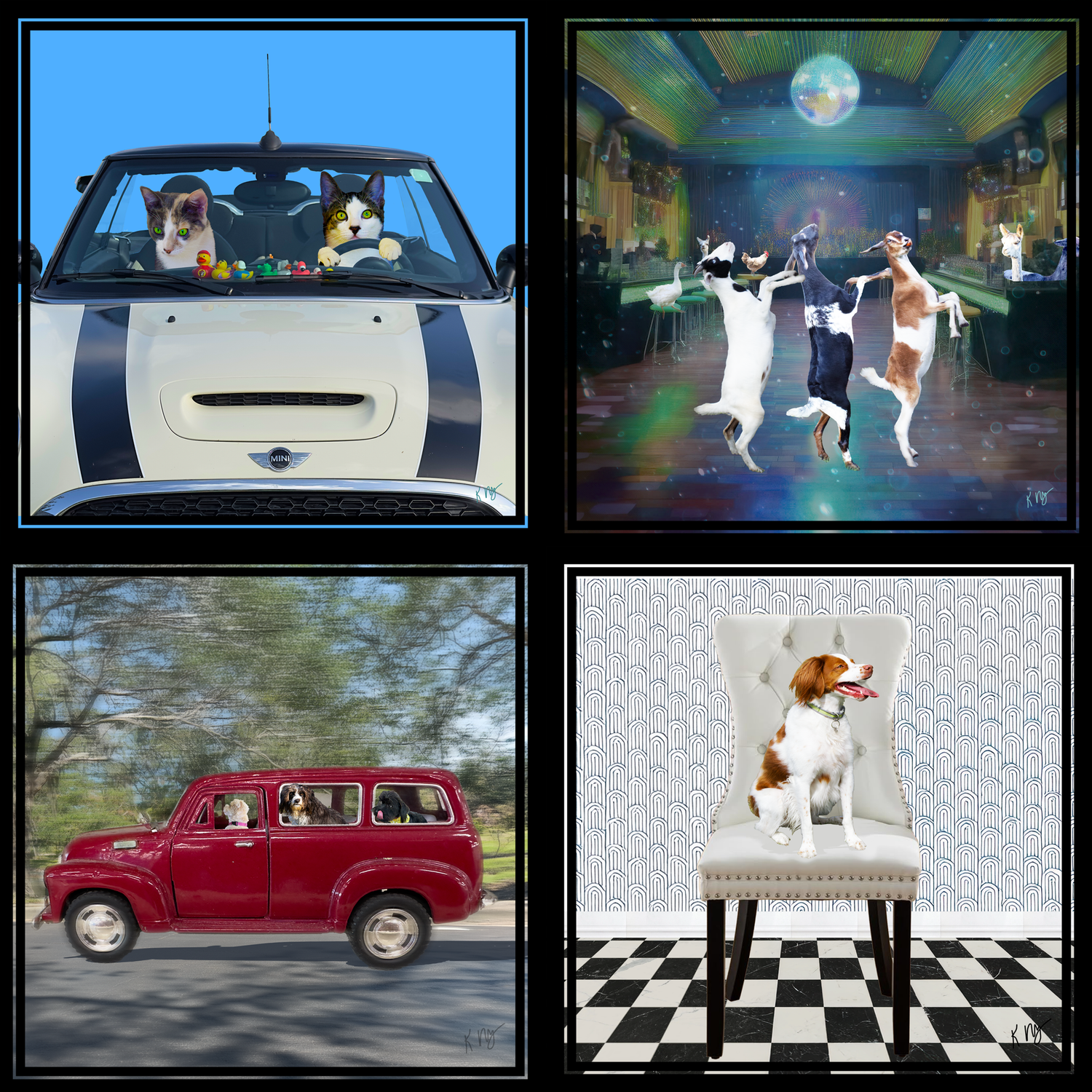 Retro & Whimsical Custom Pet Portraits