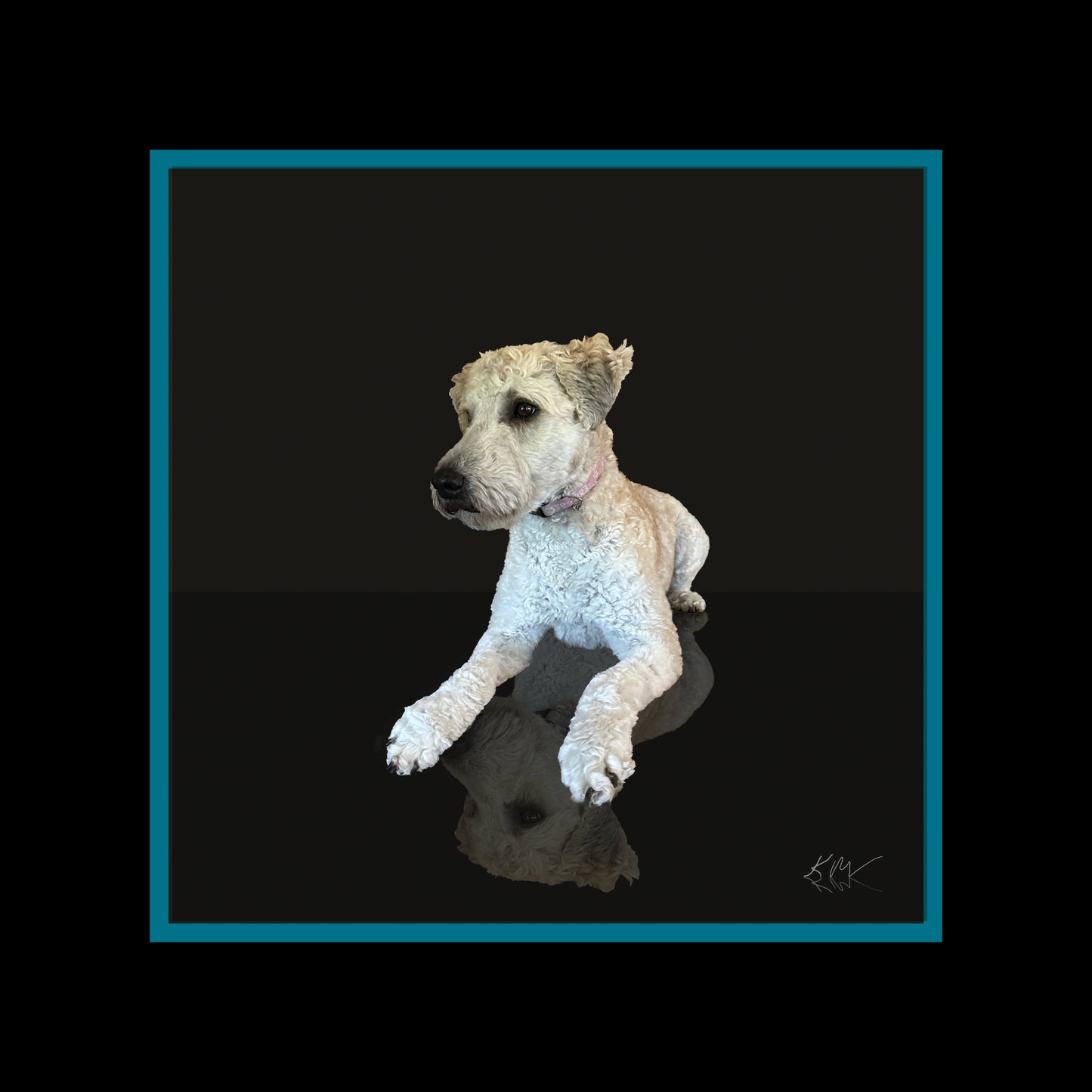 Pet Portraits-Fun or Classic