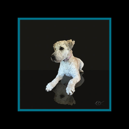 Pet Portraits-Fun or Classic