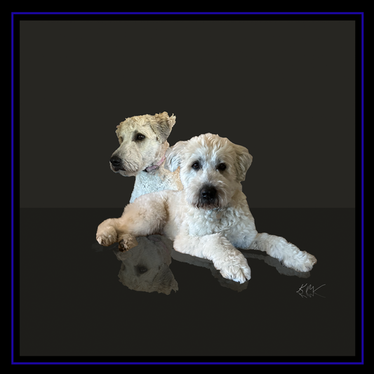 Custom pet portrait of pets on a glossy black reflective background, minimalist fine art design.