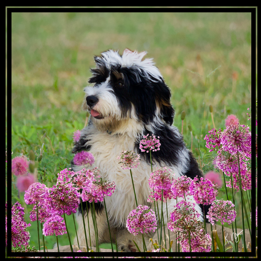 Custom Pet Portrait featuring pets among blooming flowers in a scenic landscape.