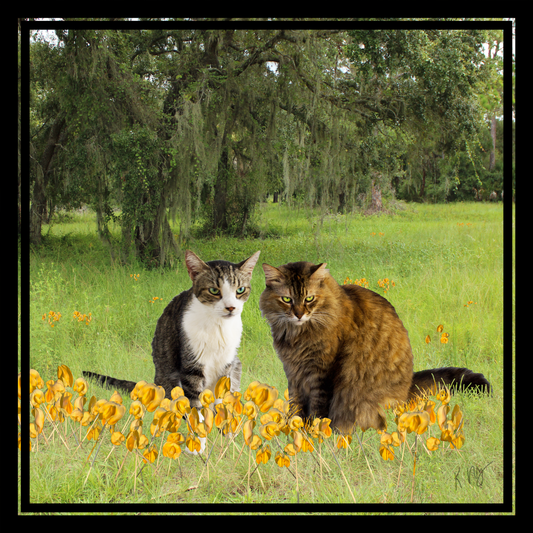 Golden Meadow Background (1–3 Pets)