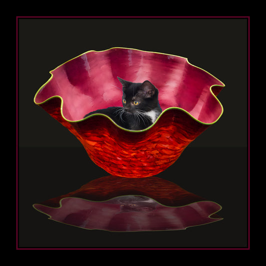Pet Portraits-Fun or Classic