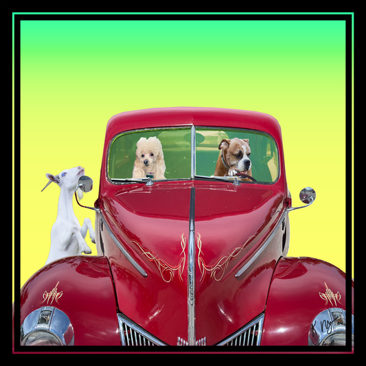 Retro whimsical custom pet portrait with pets driving a vintage red hot rod car on a colorful background, personalized for 1 to 3 pets