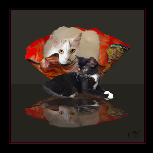 Two cat's with a Chihuly Bowl on a reflective surface