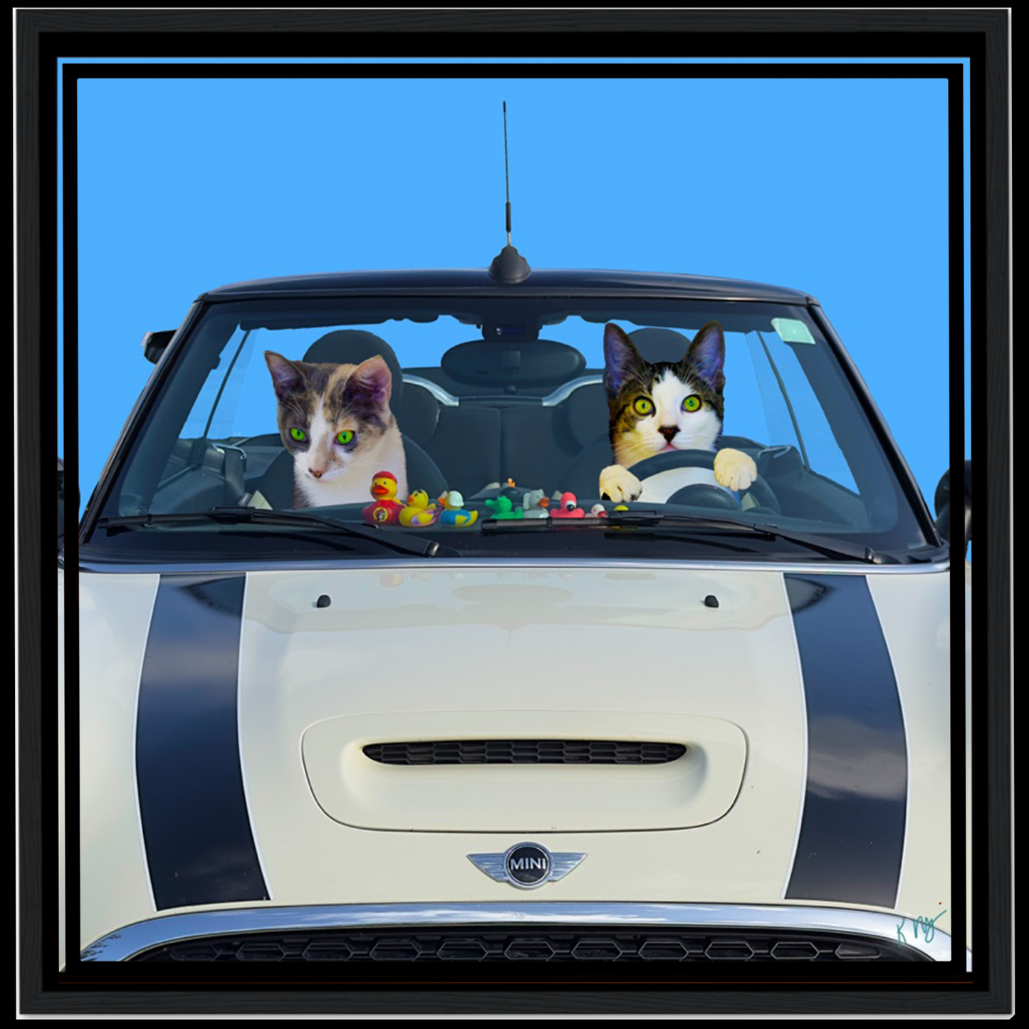 Playful Mini Cooper Car Background (1–3 Pets)