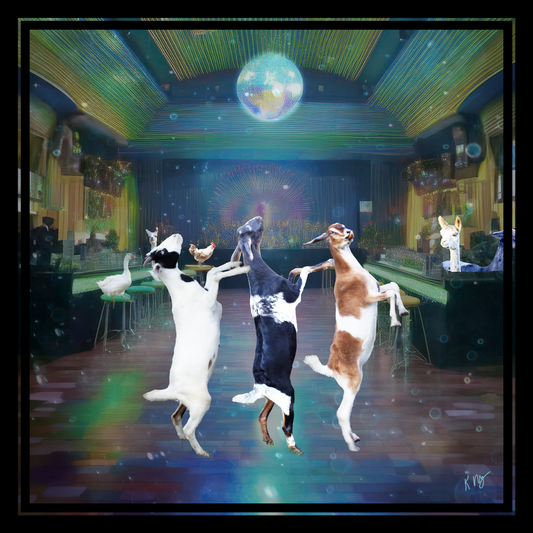 Three goats dancing in a disco-themed room with colorful lights and a disco ball.  Sample of a themed Custom Pet Portrait.
