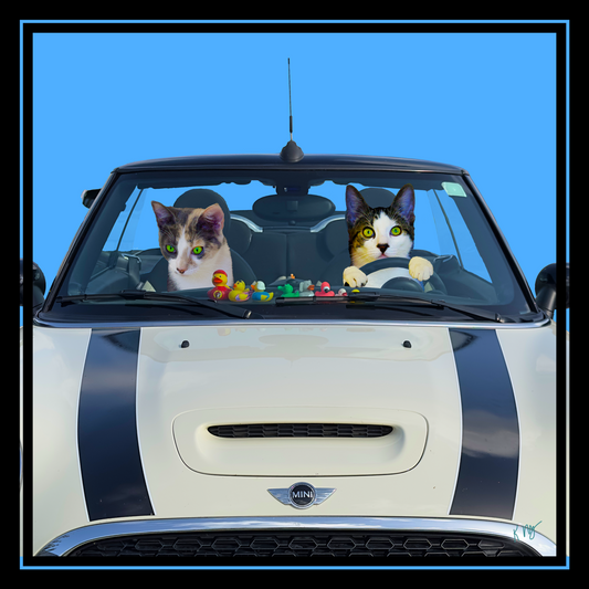 Retro whimsical custom pet portrait with cats driving a white Mini Cooper car, personalized for 1 to 3 pets
